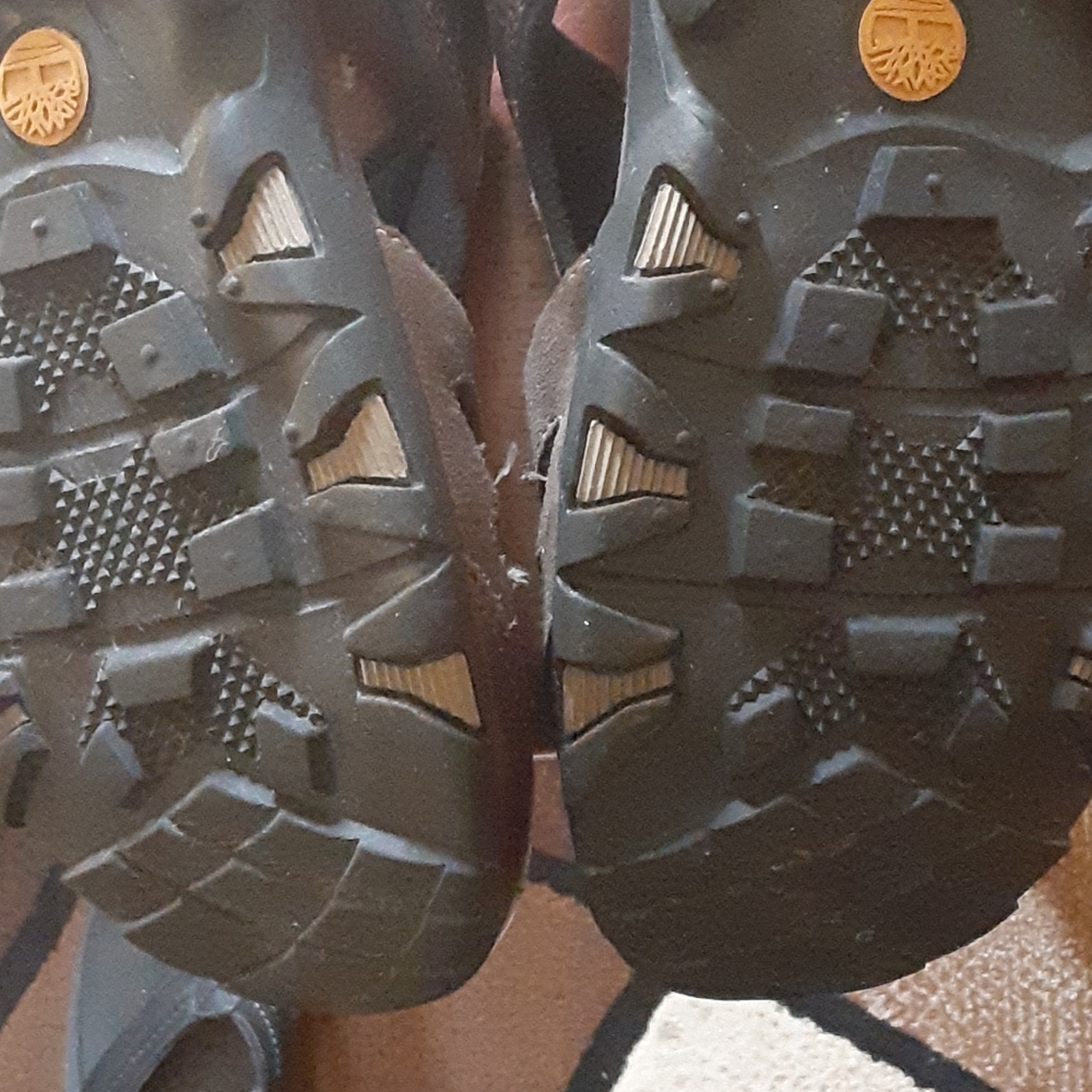 Scandals - Picture 8 of 16